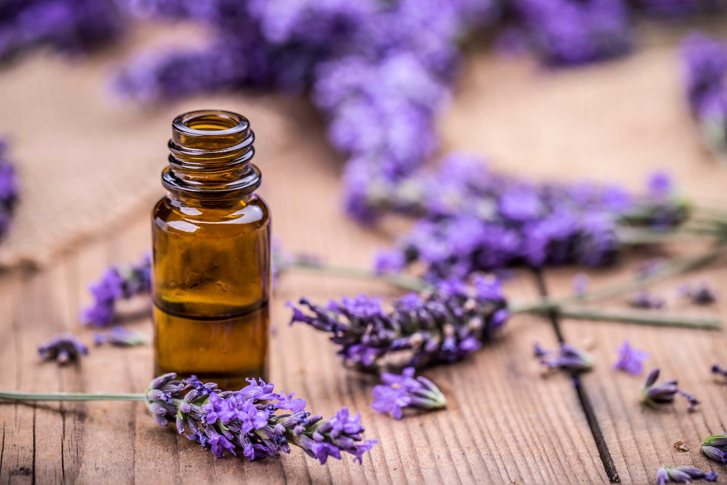 best lavender oil