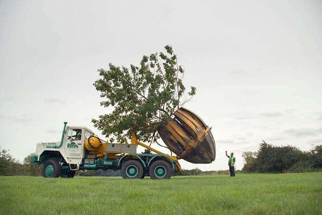 Large Tree Transplanting
